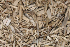 biomass boilers Nursted